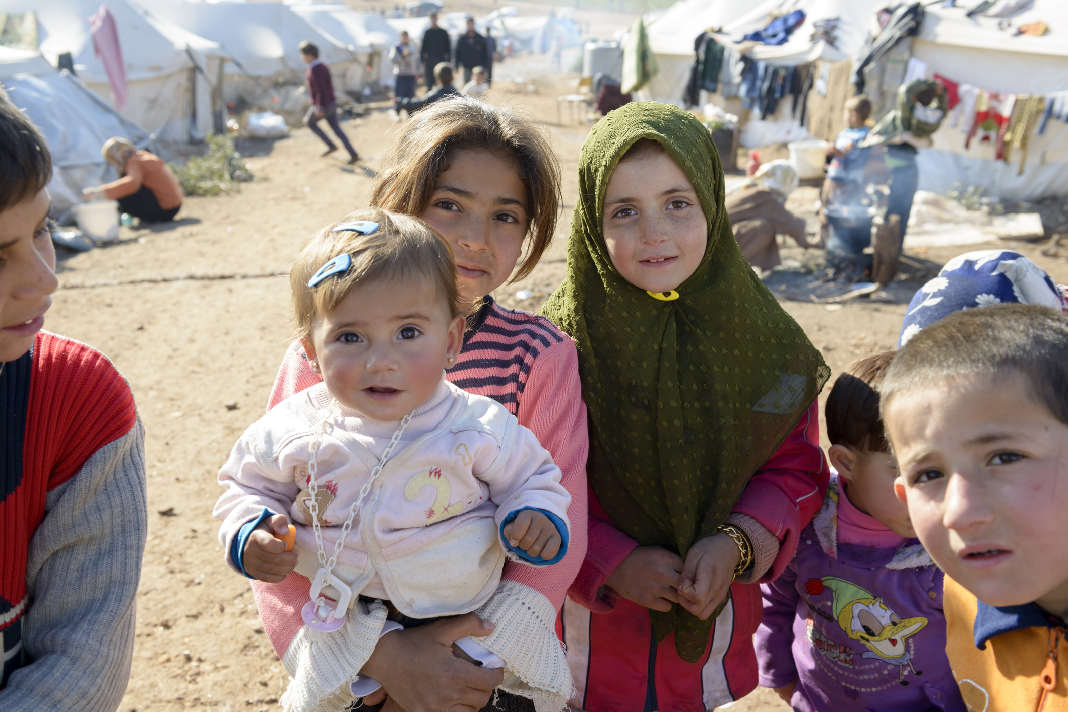Qurban 2026  : Gaza – Soudan – Yémen